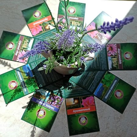 Lavender Lägenhet Hévíz Exteriör bild